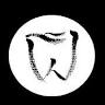Woo Endodontics