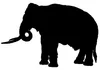 Woolly Mammoth Sound