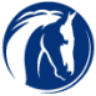 World Horse Welfare Glenda Spooner Farm