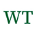 WT Mediation