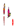 Xavage por Xcaret