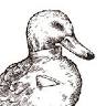 Xiang Duck Taipei Jinshan South Branch