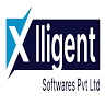 Xlligent Softwares Pvt Ltd
