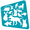 Yakamoz Petshop Kadıköy Şube
