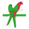 Yandina Realty