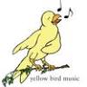 Yellow Bird Music Studio
