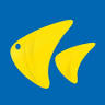 Yellowfish Transfers