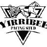 Yirribee Pacing Stud