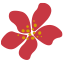 YOANDA Kaffeerösterei