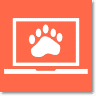 Yoga Bear Computer Repair