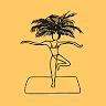 Yoga Club Valencia | Group classes and private | outdoor yoga with and without yoga experience