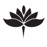 Yogaseiten Yoga Hannover