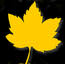 Young Maple Ridge Sugarhouse