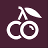 Your Dutch Media | Online Marketing | App development | Webdesign