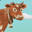 The Family Cow