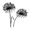 Your Floral Indulgence