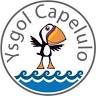 Ysgol Capelulo