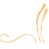 Agriturismo Il Cascinone