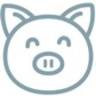 Zanypig