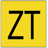 Zapatos Trujillanos