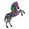 Zebra-Hit Caorle