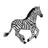 Zebra, Ltd. - Production of self-adhesive labels