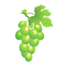 Ziagls Laube | Weingut & Buschenschank Schweighofer