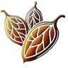 Ziarat Dry Fruit