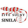 Kosmetika Sinela
