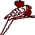 Zoohandlung 