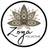 Zoya Collective