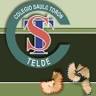 CEIP Saulo Torón