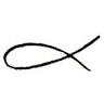 Xaverio | Fine Art Gallery