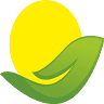 Tervisepäike