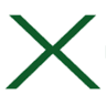 X Out Pest Services