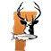 Yankee Sportsman Classic