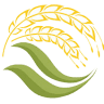 Xe Vinh Yên Thành