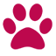 Yeppoon Veterinary Surgery