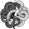 Yin and Yang Exotics