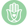 Yoga High + Pilates & Reformer - Caroline Springs