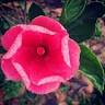 Thomaston Yoga Studio LLC