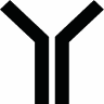 Yokoy Moda Pilates