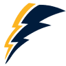 Young Electric LLC