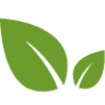 Yuga Matcha