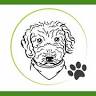 Yvi's Pfotentreff - Hundeschule in Rendsburg & Büdelsdorf