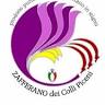 Zafferano dei Colli Piceni