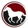 Zain Realty & Management Inc
