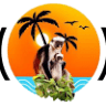Zaka Tours & Safaris