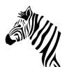 Zebra Electrical Ltd