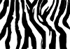 Zebra Park
